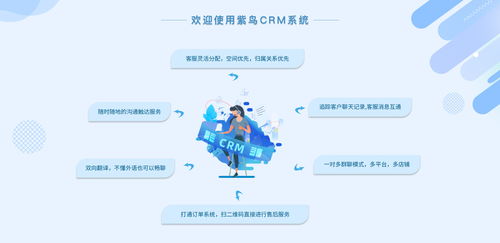 電商行業(yè)CRM云客服管理系統(tǒng)選哪家？紫鳥云客服——互聯(lián)網(wǎng)信息技術(shù)服務(wù)的卓越選擇
