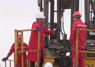 大港油田井下作業(yè)公司與準東采油廠開展技術交流 共促油田開采技術創(chuàng)新