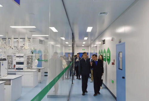 馬旭升帶隊調(diào)研重點企業(yè) 推動技術轉讓合作邁上新臺階